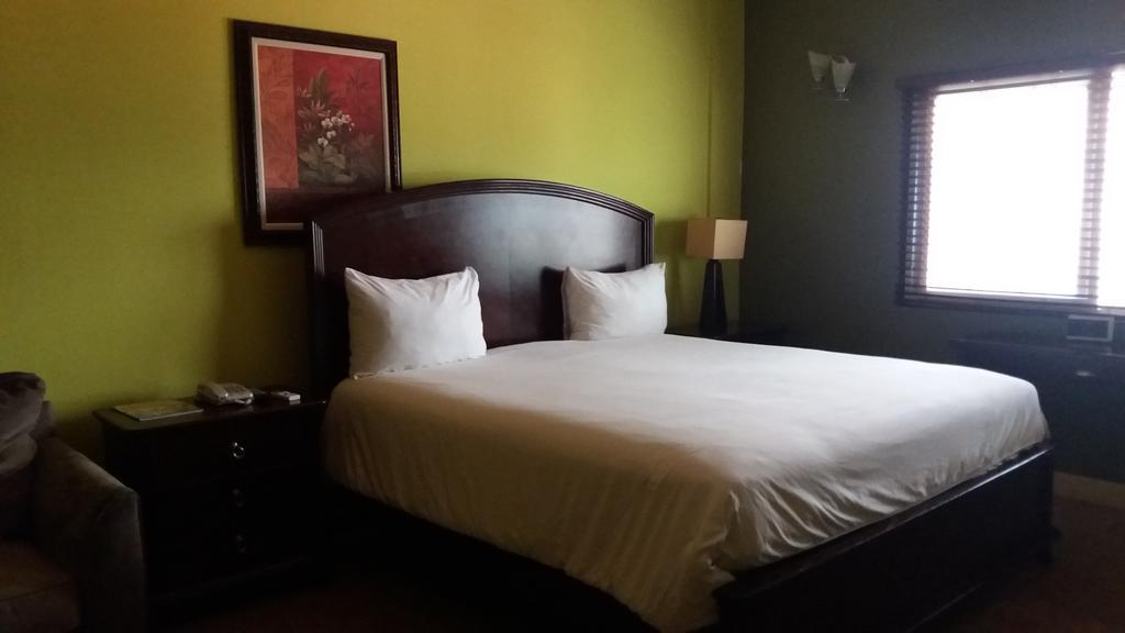 The Wexford Hotel モンテゴ・ベイ エクステリア 写真